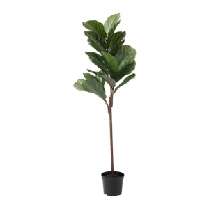 이케아 구매대행 이케몰,IKEA 이케아 FEJKA 페이카 인조식물, 실내외겸용 떡갈잎고무나무 (403.594.26),IKEA