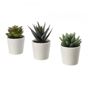 이케아 구매대행 이케몰,이케아 FEJKA 페이카 인조식물+화분, 실내외겸용 다육식물, 6 cm 3 개 (205.197.65),IKEA